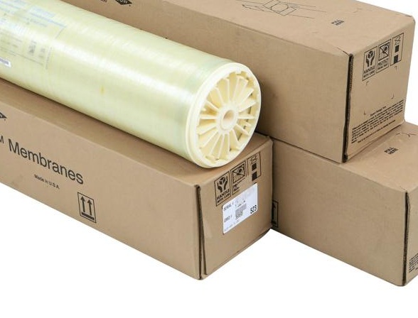 mangro4040-5459