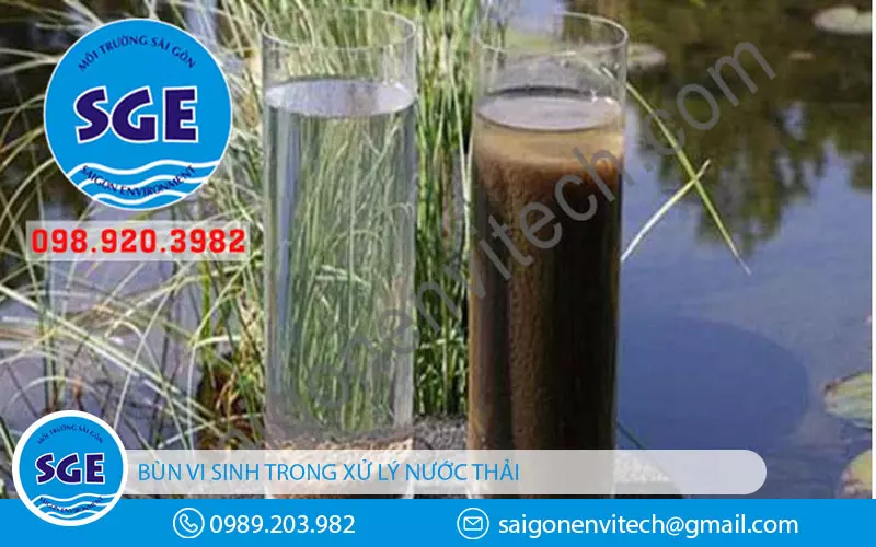 Bùn vi sinh xử lý nước thải