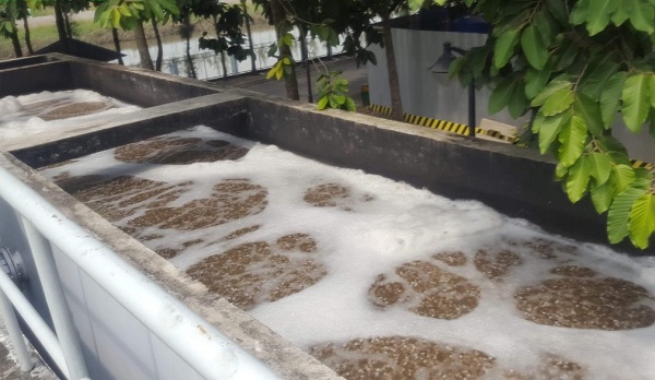 Nguyên lý hoạt động của giá thể vi sinh mbbr