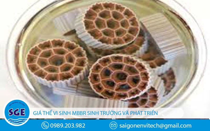 Cơ chế hoạt động của giá thể vi sinh mbbr