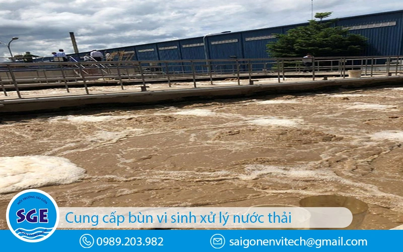 Bùn vi sinh xử lý nước thải