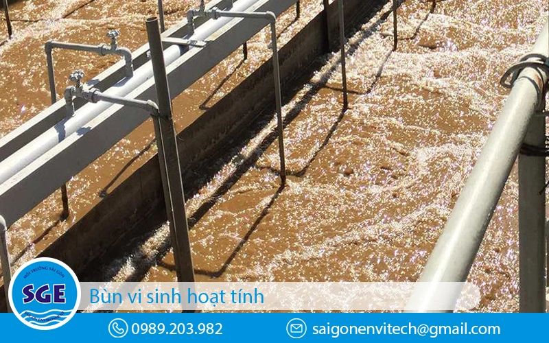 Bùn vi sinh hoạt tính xử lý nước thải