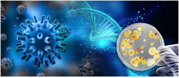 Các chuẩn vi sinh vật nuôi cấy trong hệ thống xử lý nước 