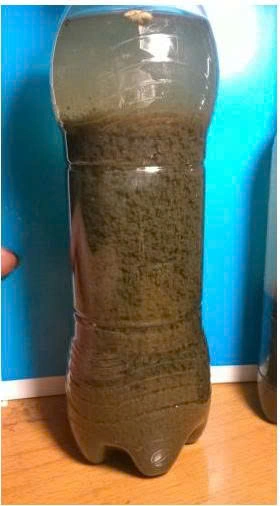 Vai trò của bùn vi sinh hiếu khí