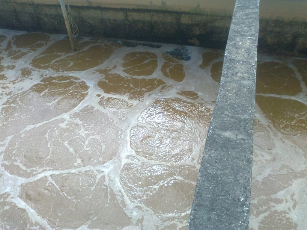 Phương pháp xử lý bùn vi sinh bằng bùn vi sinh hoạt tính