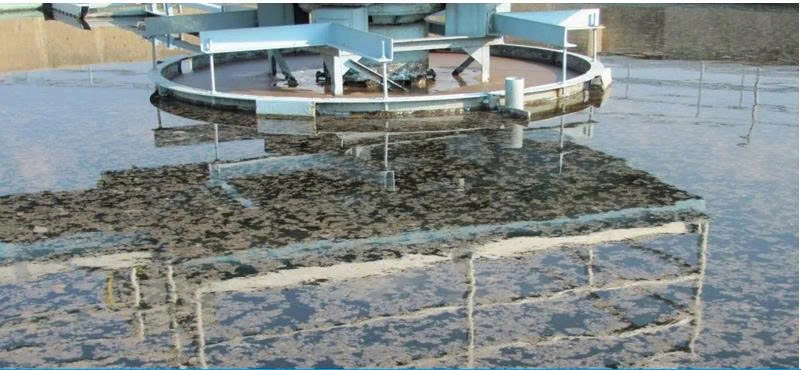 Hiện tượng bùn nổi bể lắng