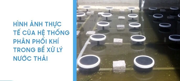 Hệ thống đĩa thổi khí trong xử lý nước thải